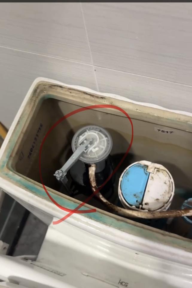 馬桶裝修案件圖片