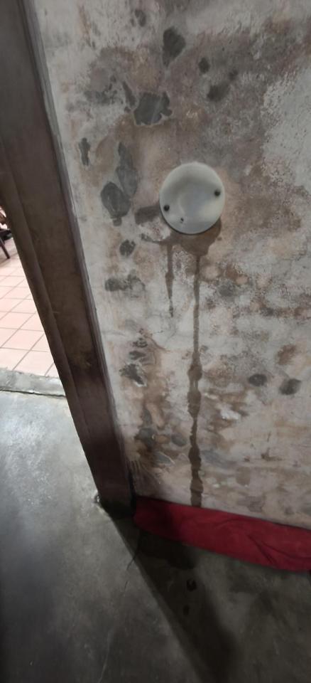 屋頂防水案件圖片