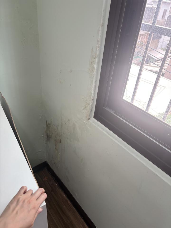 壁癌處理案件圖片