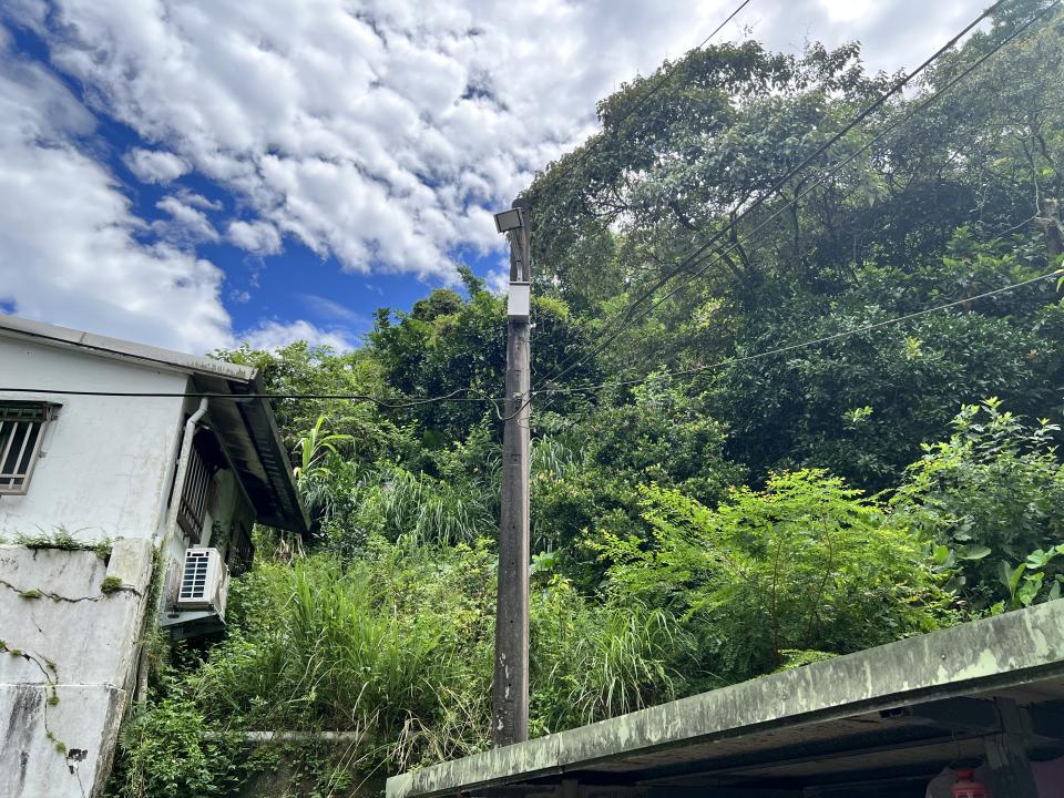 園藝維護案件圖片