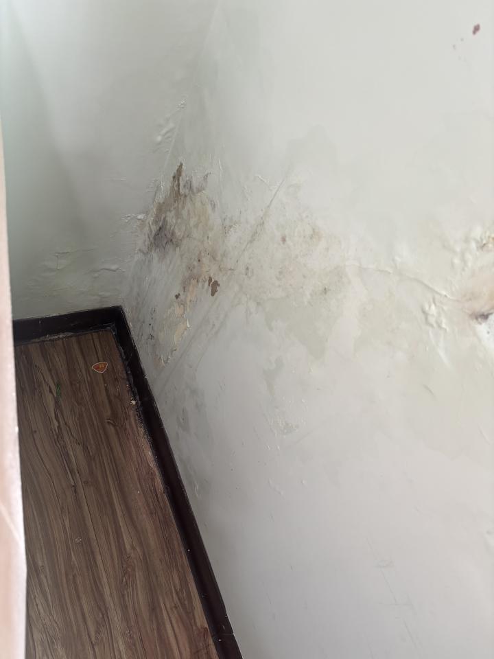 壁癌處理案件圖片