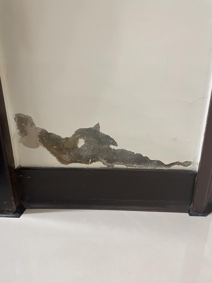 抓漏案件圖片
