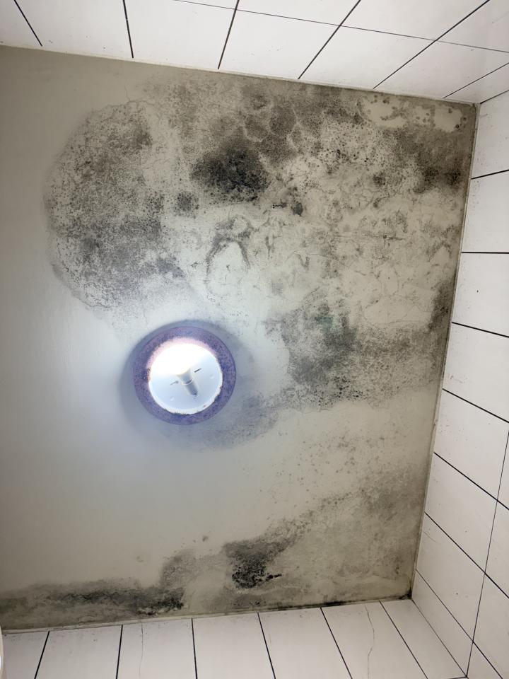 漏水處理案件圖片