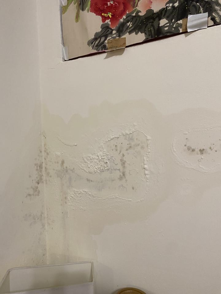 壁癌處理案件圖片