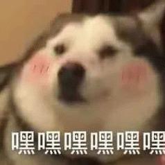 林佳璇