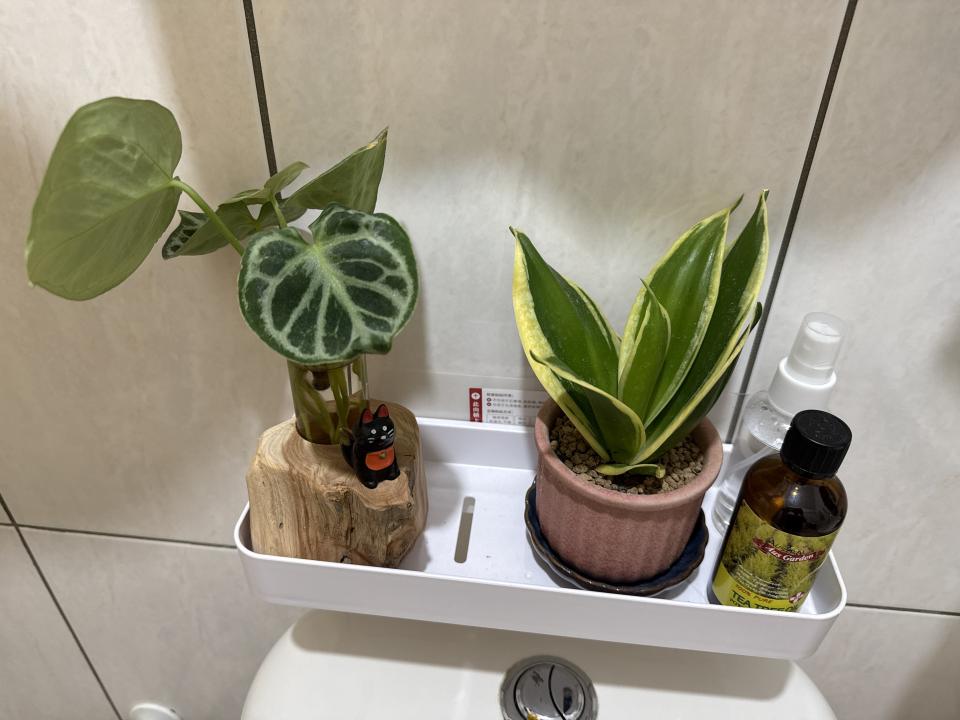 搬家案件圖片