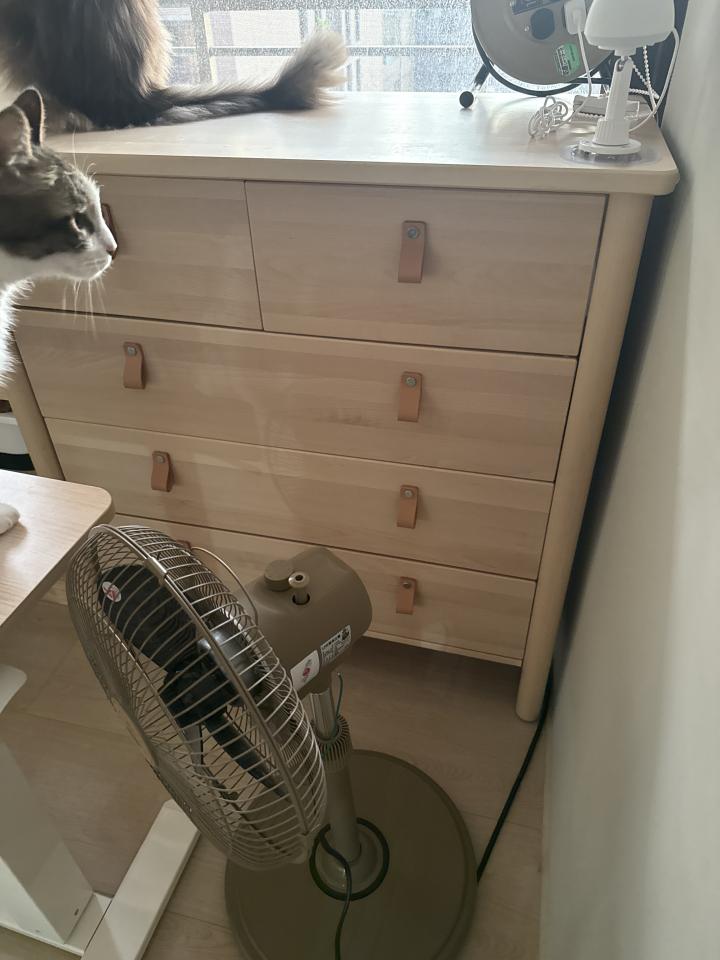 家具組裝案件圖片