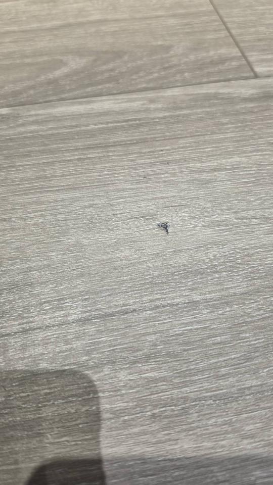 木地板打磨翻新案件圖片