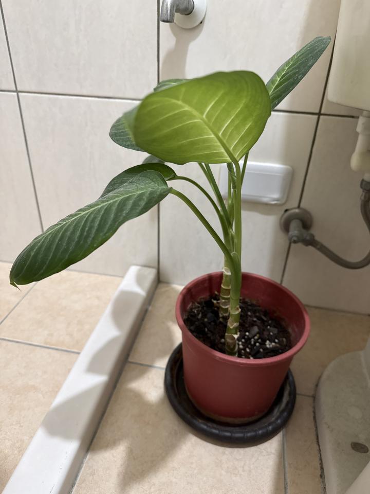 搬家案件圖片