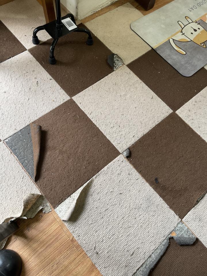 地板拋光打蠟案件圖片