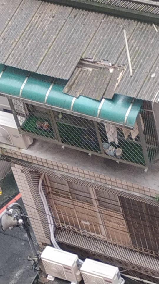 拆除工程案件圖片