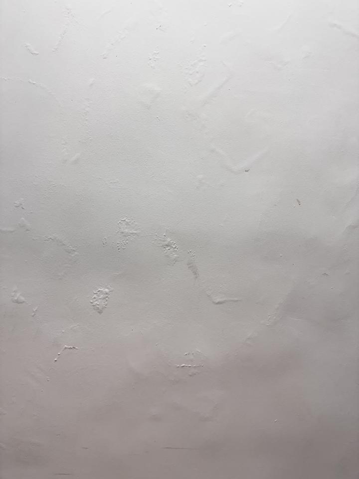 壁癌處理案件圖片