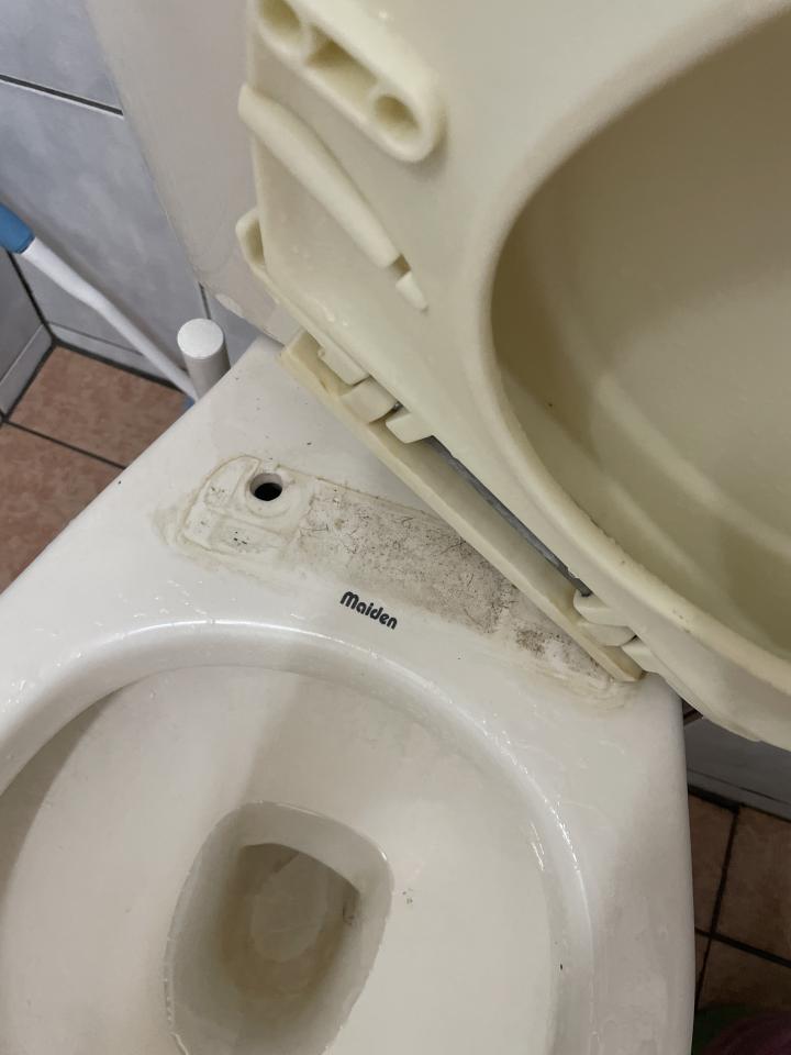 馬桶裝修案件圖片