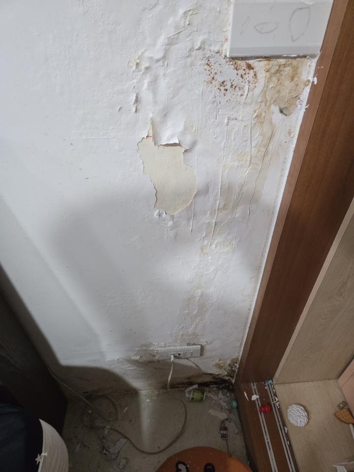 抓漏案件圖片