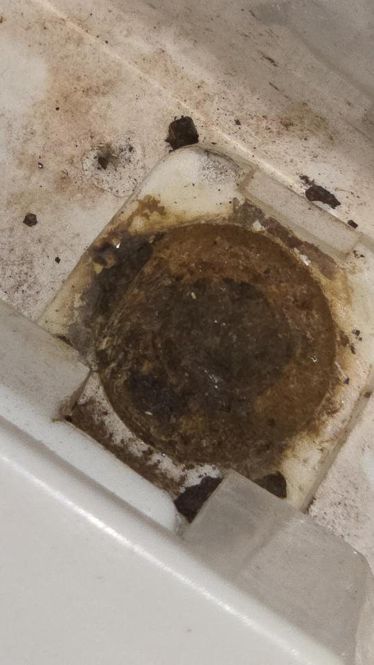 馬桶裝修案件圖片