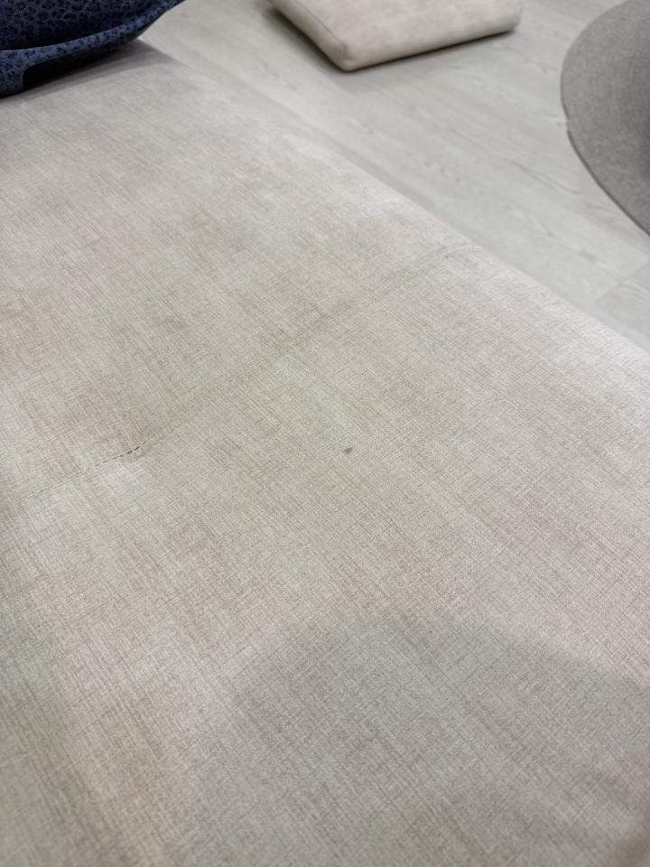 沙發清潔案件圖片