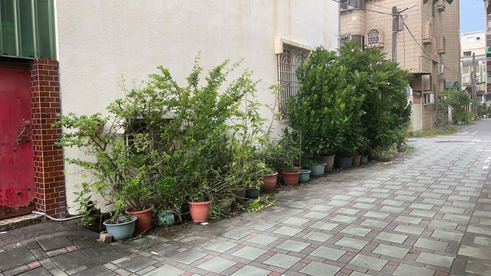 園藝維護案件圖片