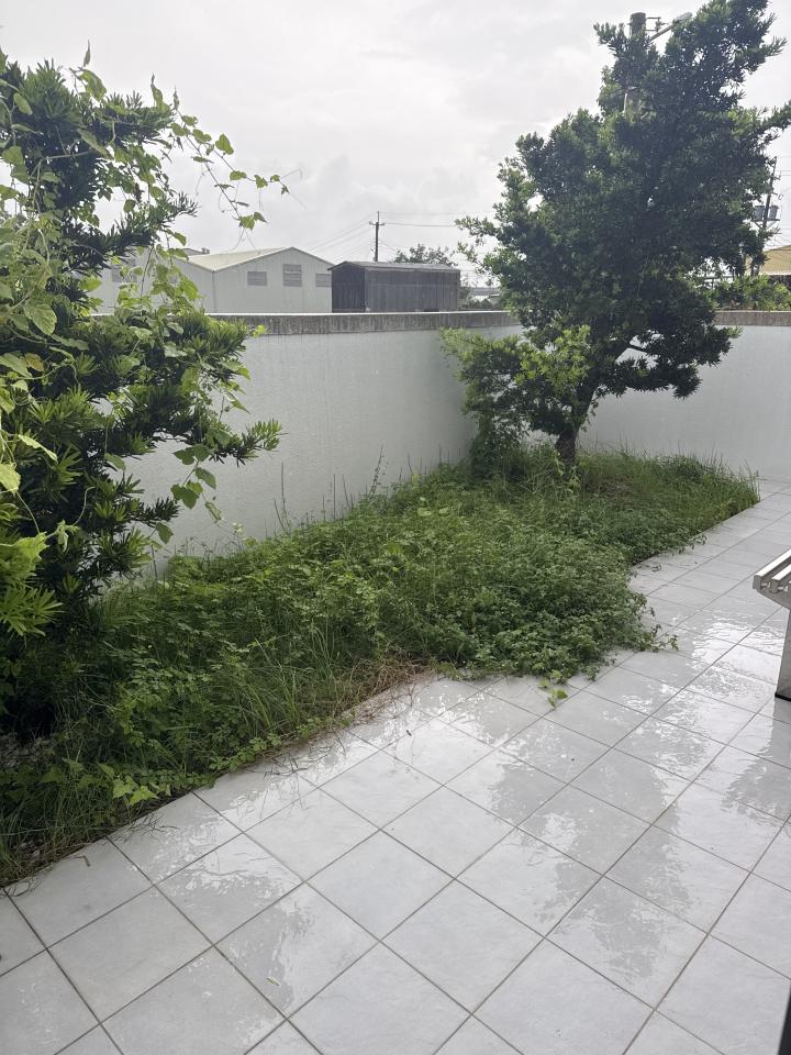 園藝維護案件圖片