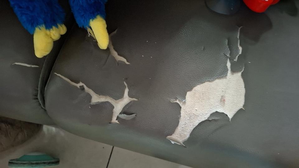 沙發修理案件圖片
