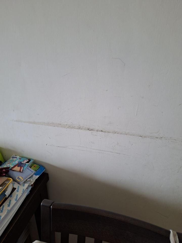 油漆工程案件圖片
