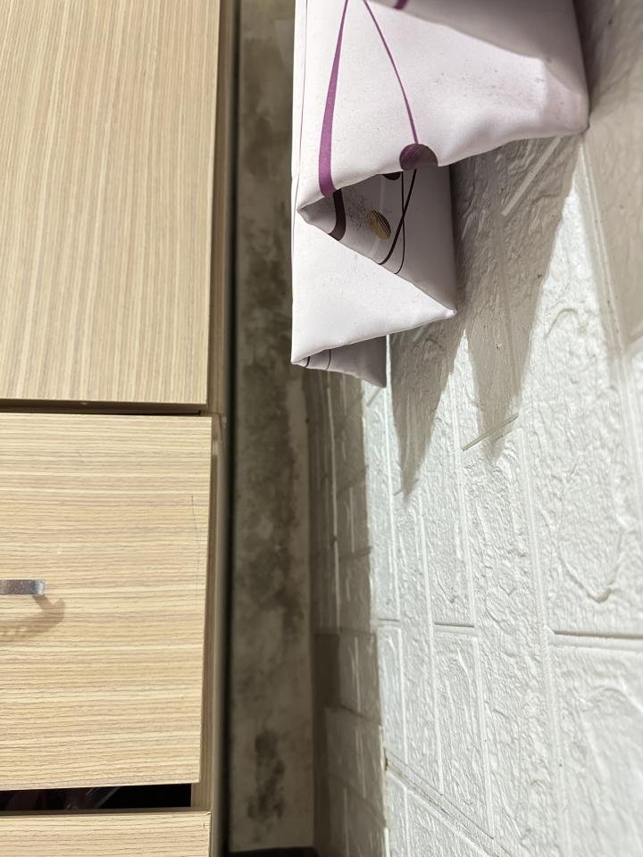 油漆工程案件圖片