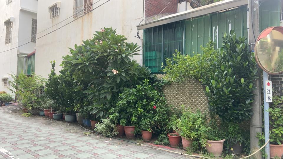 園藝維護案件圖片