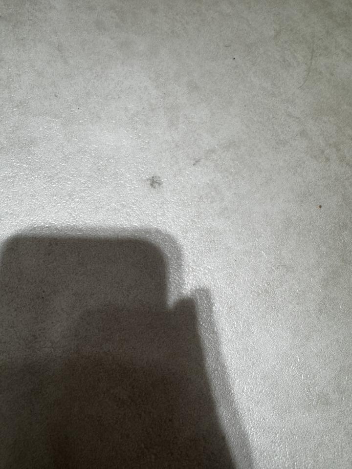 木地板打磨翻新案件圖片