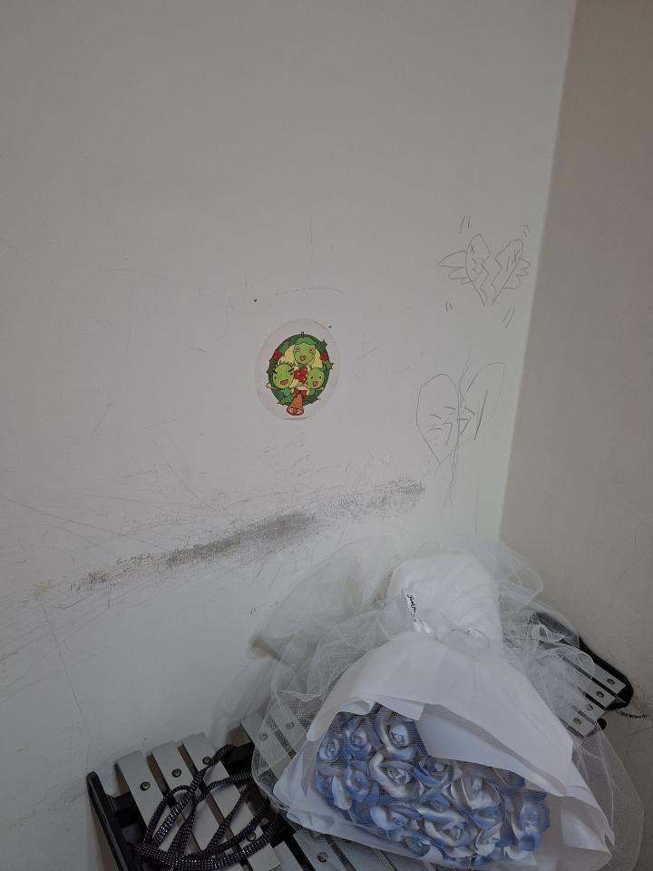 油漆工程案件圖片