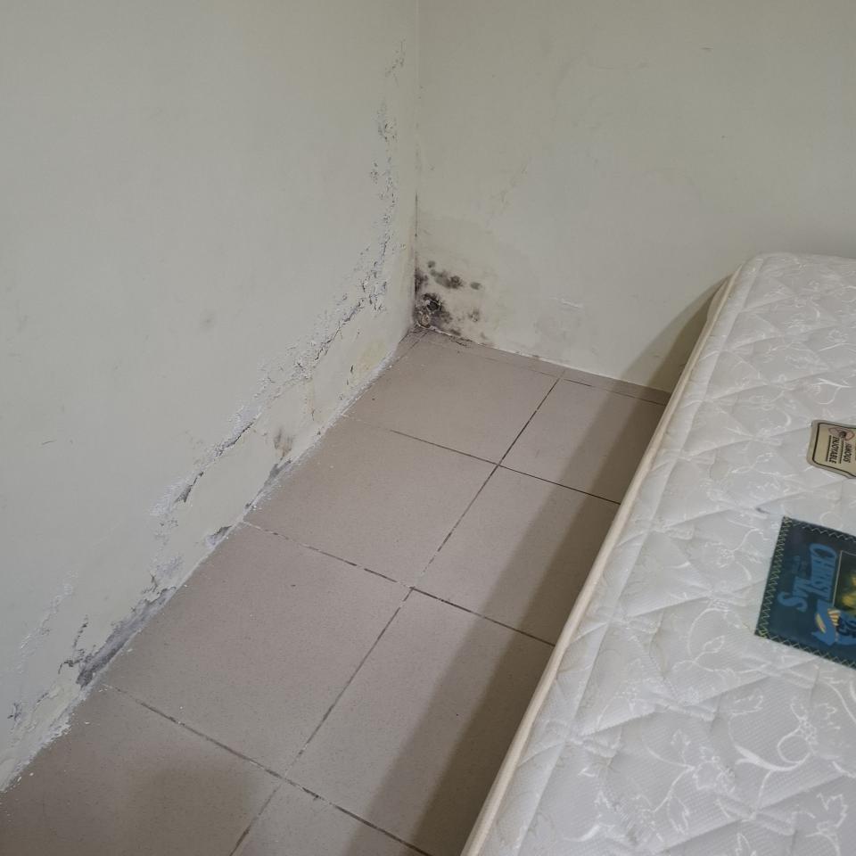 抓漏案件圖片
