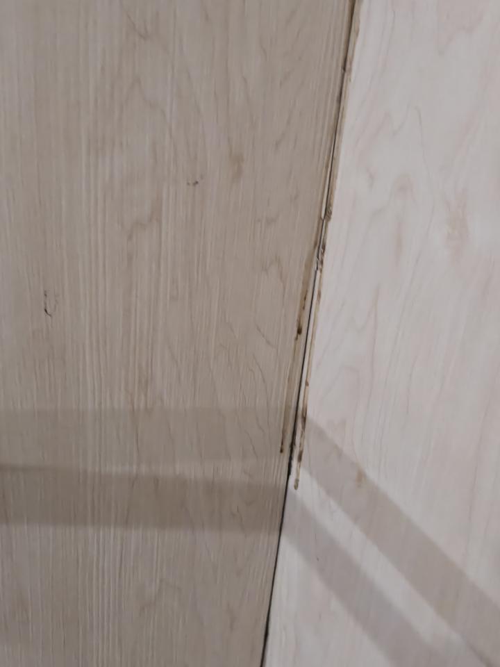 抓漏案件圖片