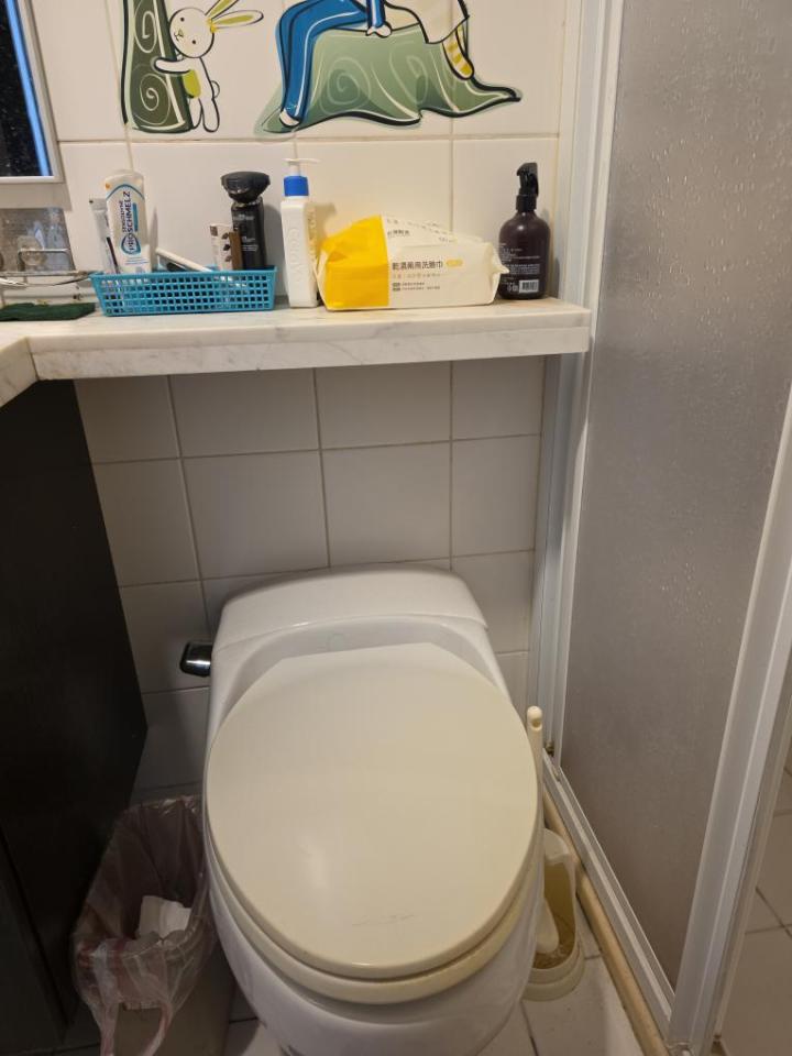 馬桶裝修案件圖片