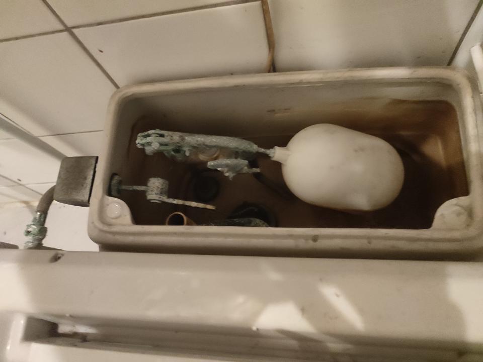 馬桶裝修案件圖片