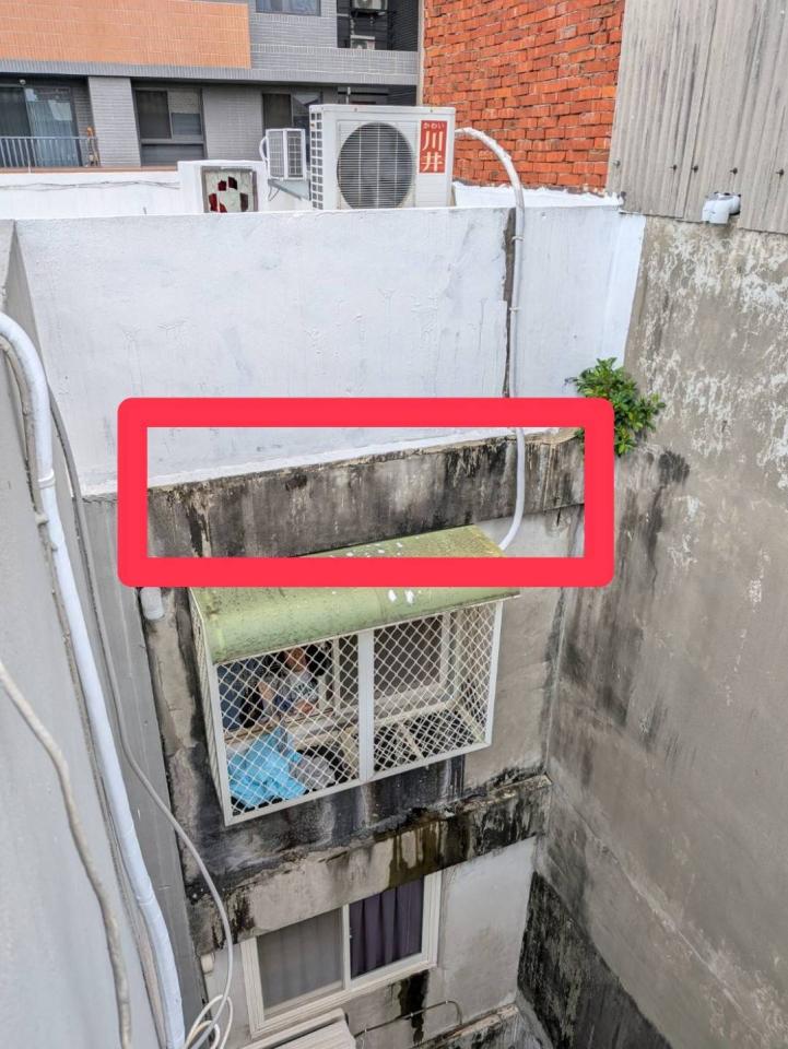 園藝維護案件圖片