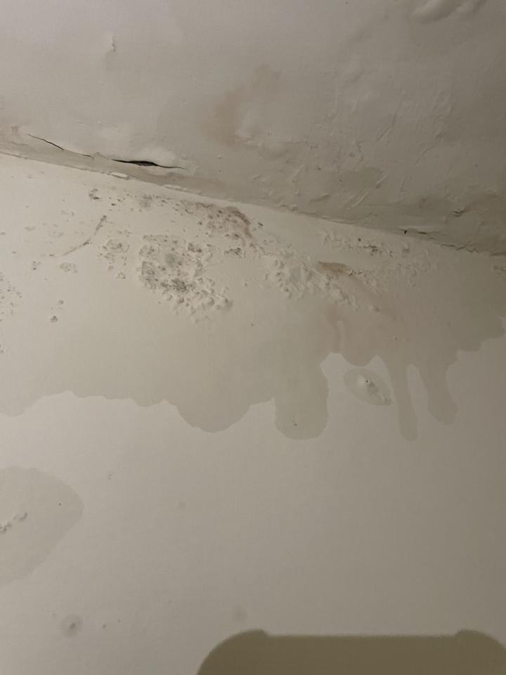 抓漏案件圖片