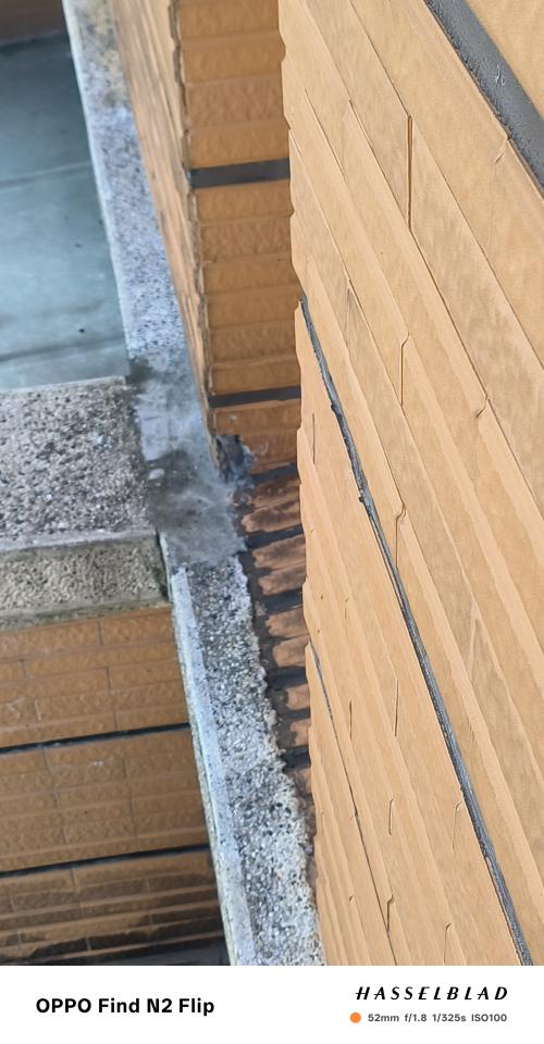 抓漏案件圖片