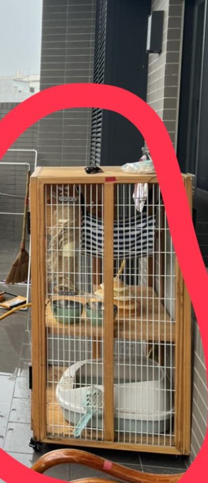 家具搬運案件圖片