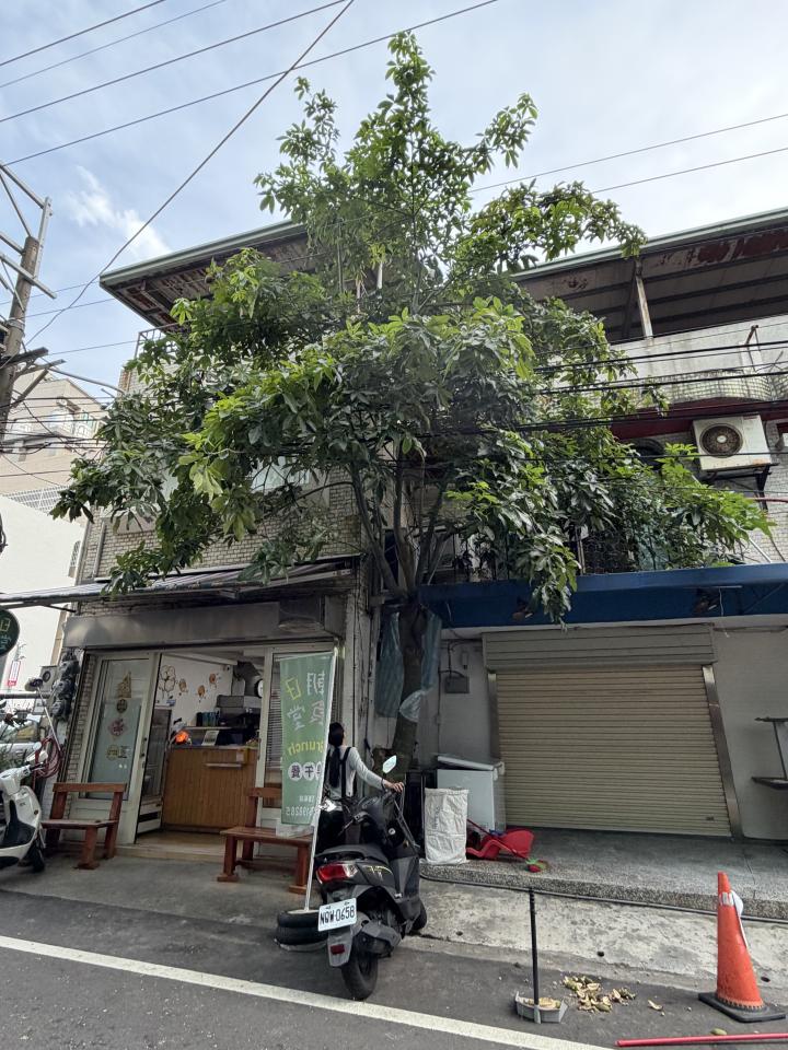 園藝維護案件圖片