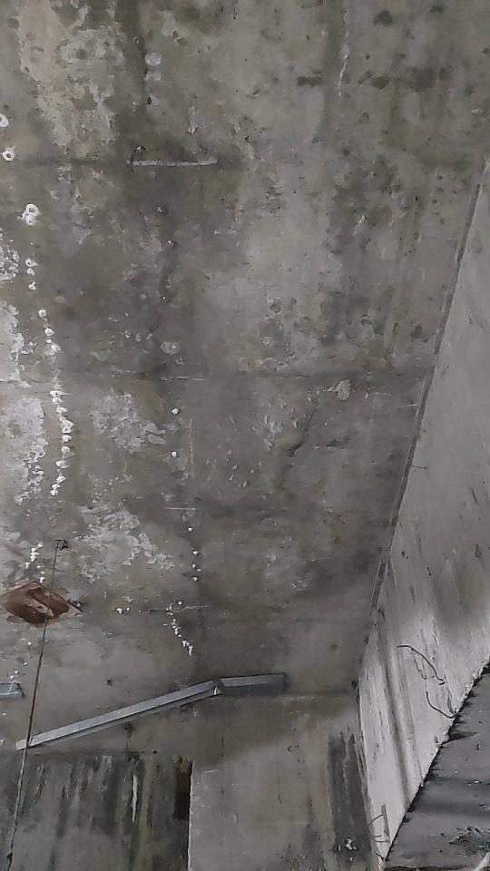 漏水處理案件圖片