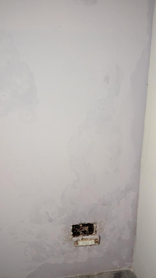 抓漏案件圖片