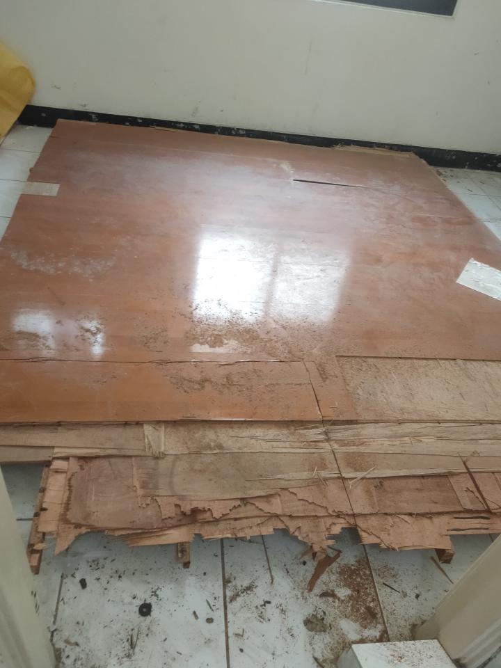 拆除工程案件圖片