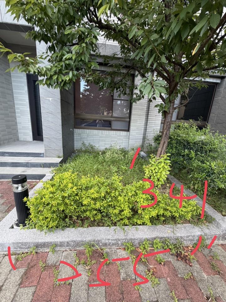 園藝設計案件圖片