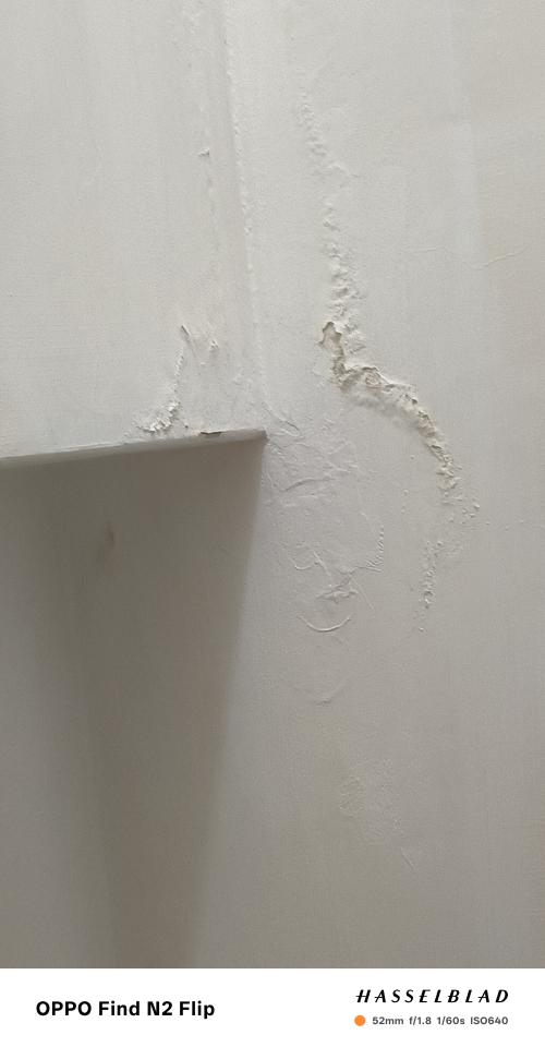 抓漏案件圖片