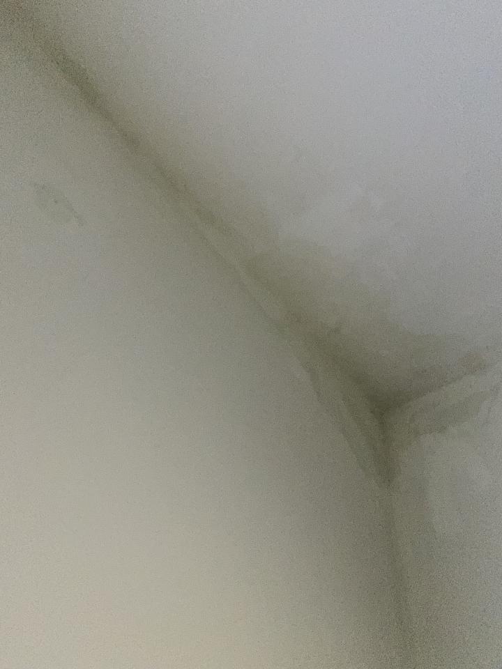抓漏案件圖片