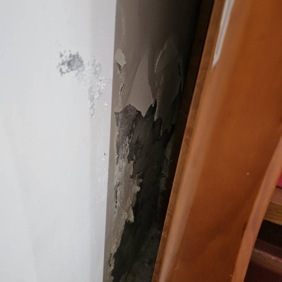 油漆工程案件圖片