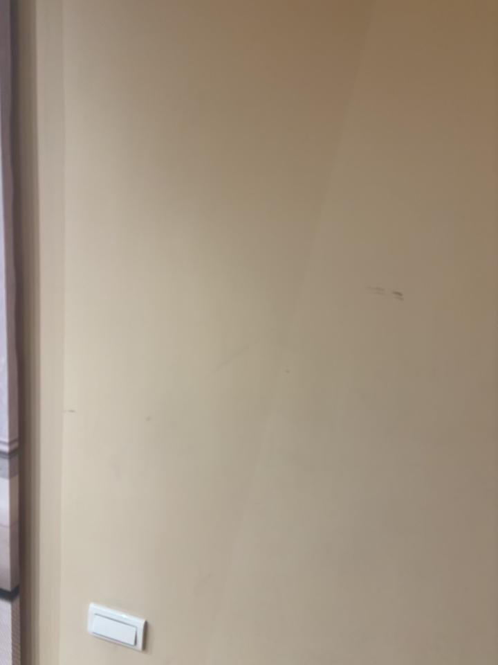 油漆工程案件圖片