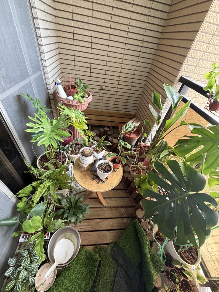 拆除工程案件圖片