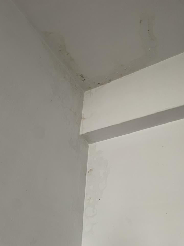 抓漏案件圖片