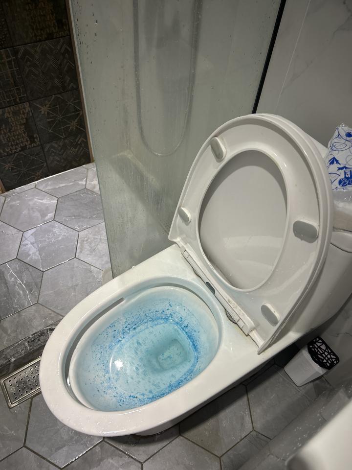馬桶裝修案件圖片
