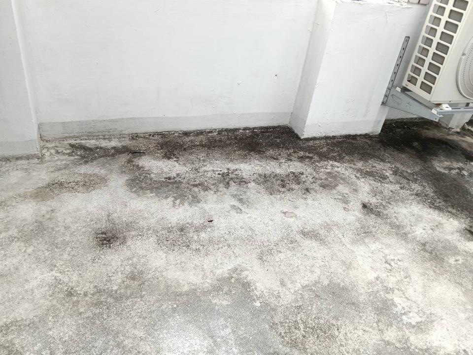 屋頂防水案件圖片