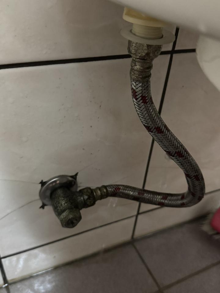 馬桶裝修案件圖片